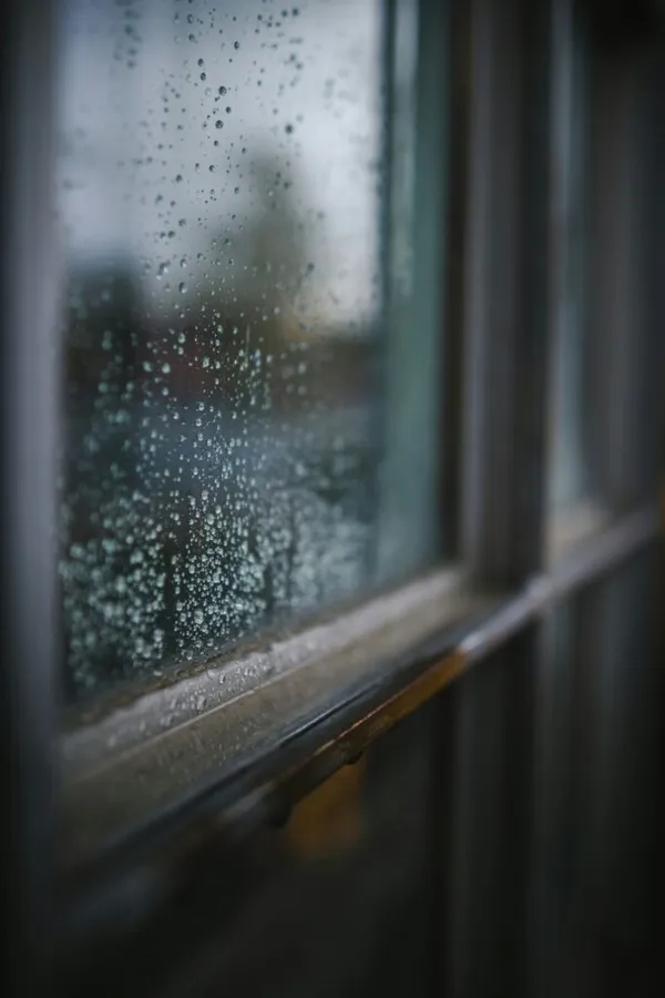 Understanding window condensation: a guide to double glazing